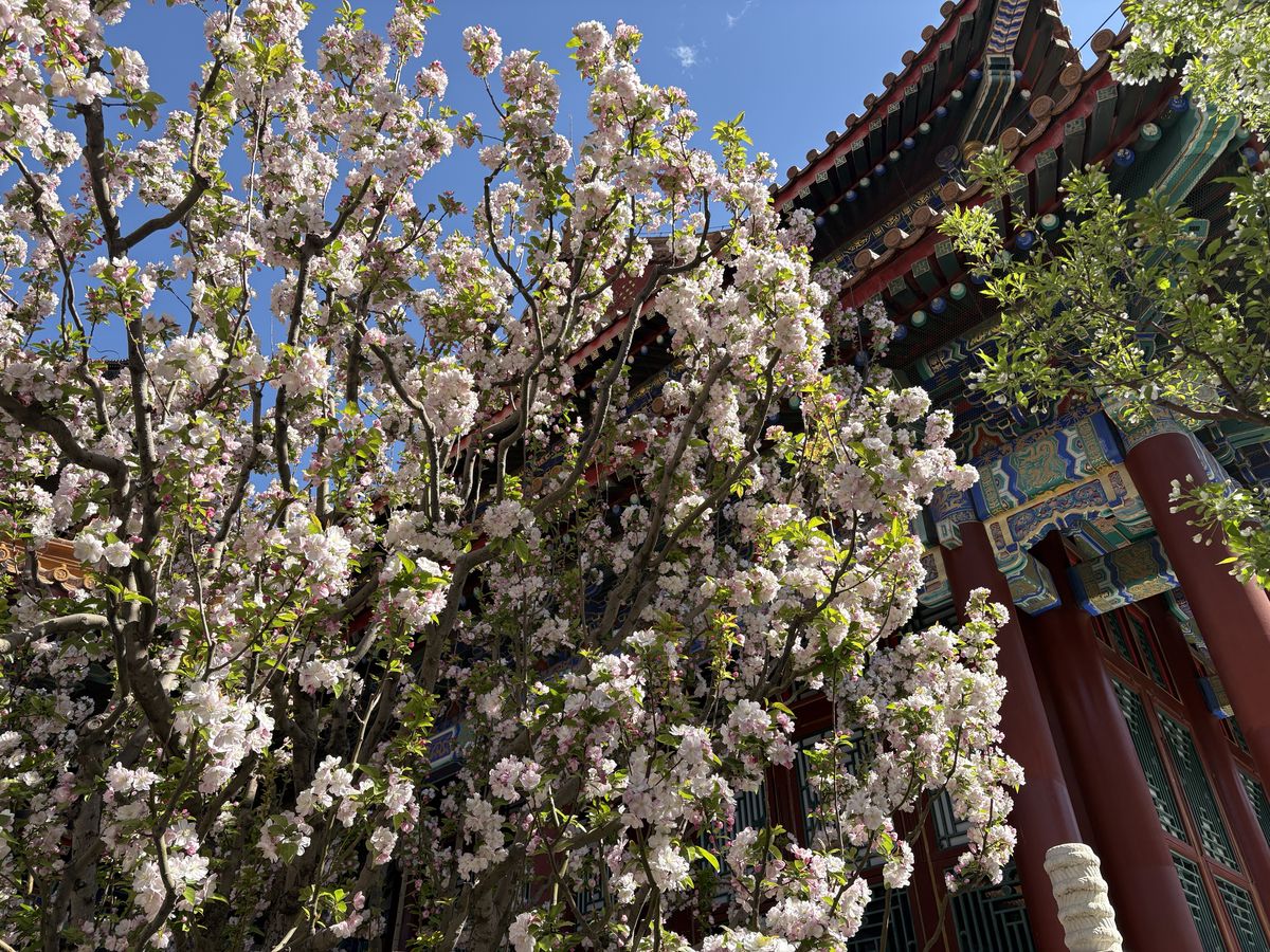 北京