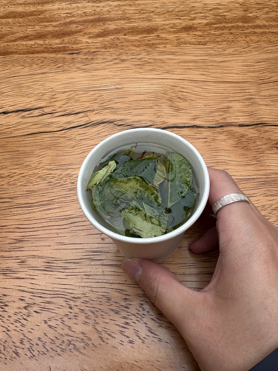 コカ茶