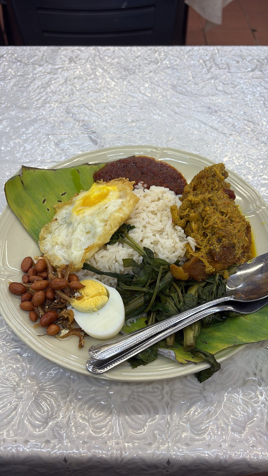 Nasi Lemak Burung Hantu Semua House (16MYR)
