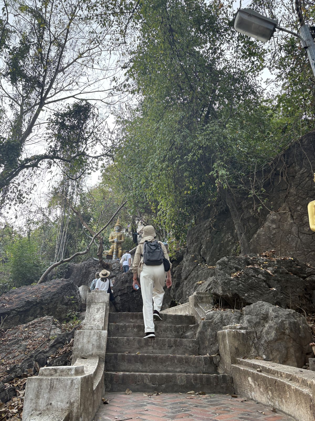 プーシーの丘を登る途中
