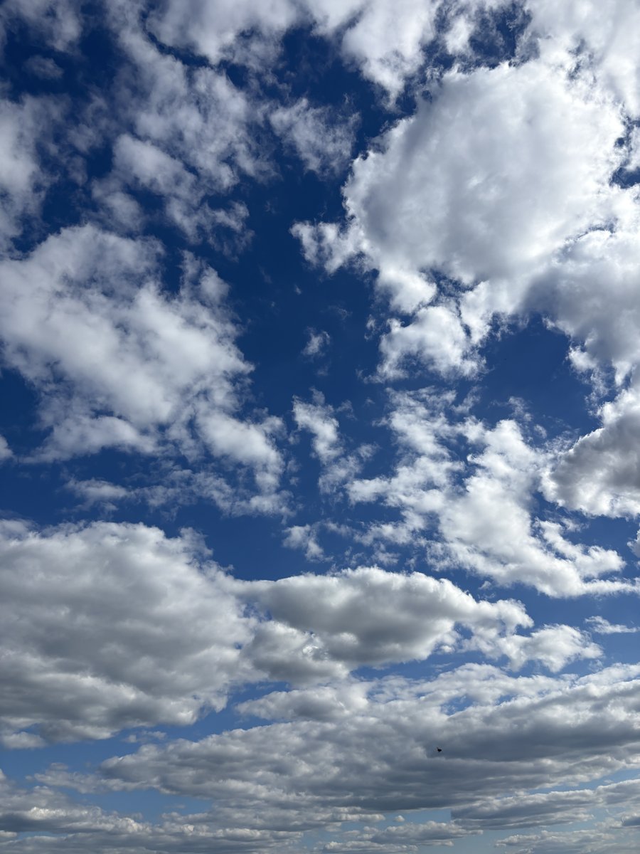 空は深い青色だった